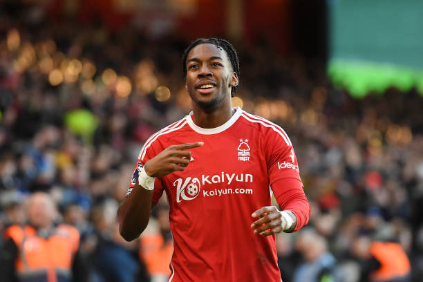 极参与高强 极参与高强