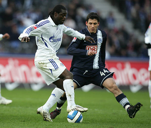 黄蜂的进攻 黄蜂的进攻